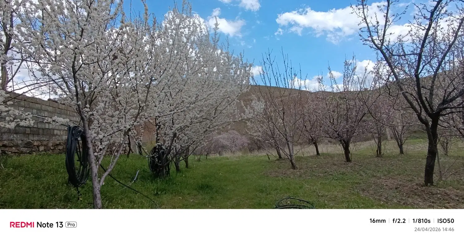 زمین مسکونی تجاری