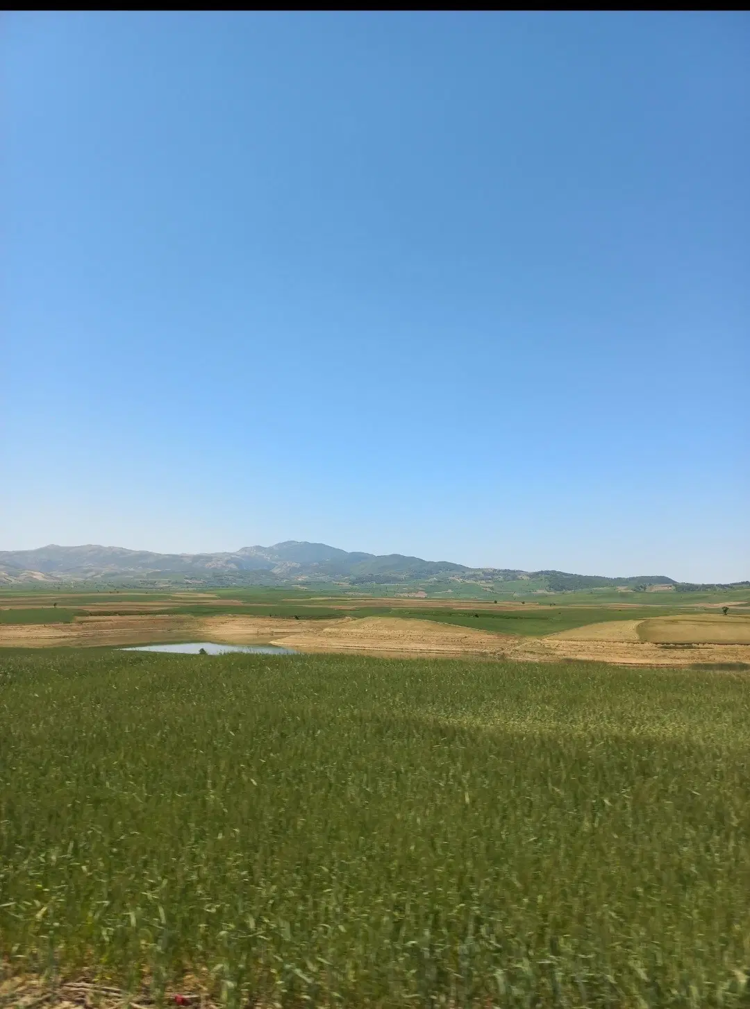 رهن خانه ویلایی در مفتح
