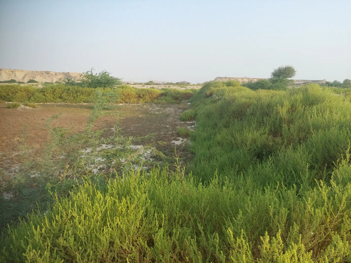 زمین ۲۰۰۰متری