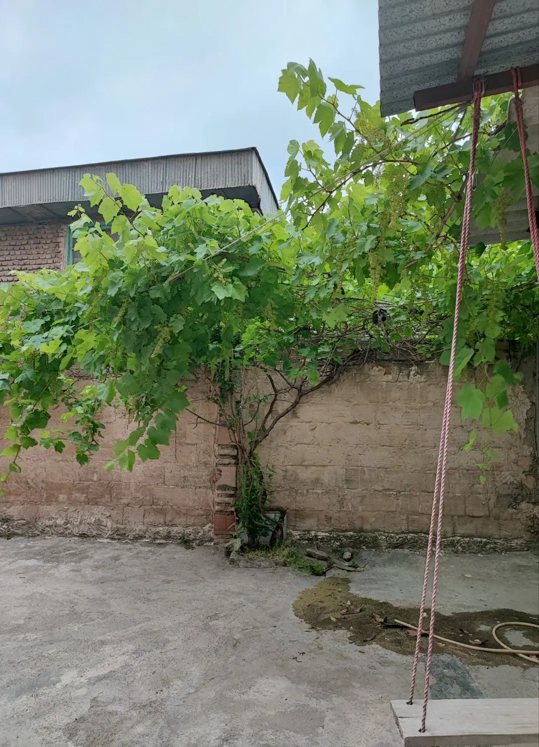 اجاره ویلایی