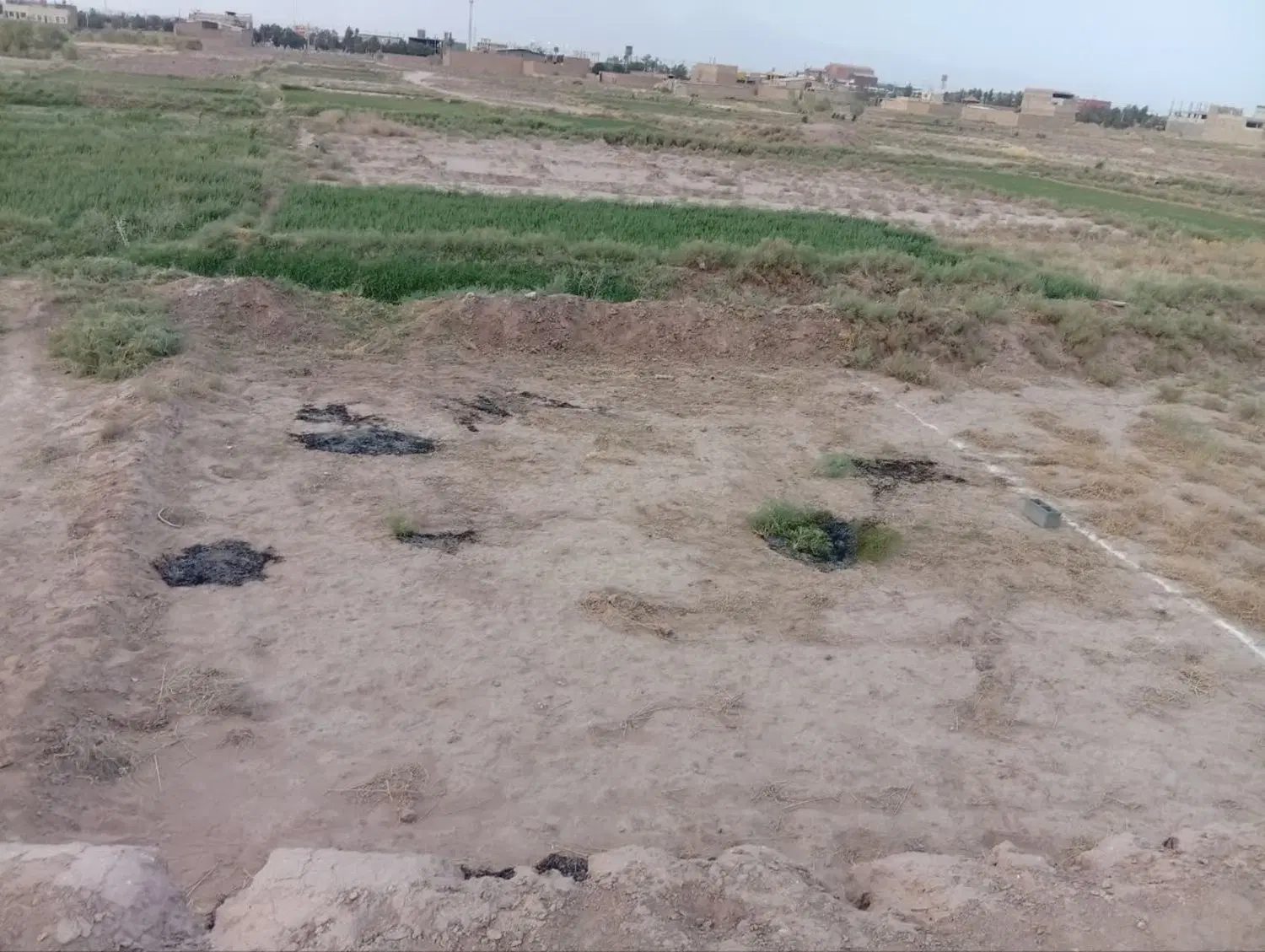 زمین شاهدیه
