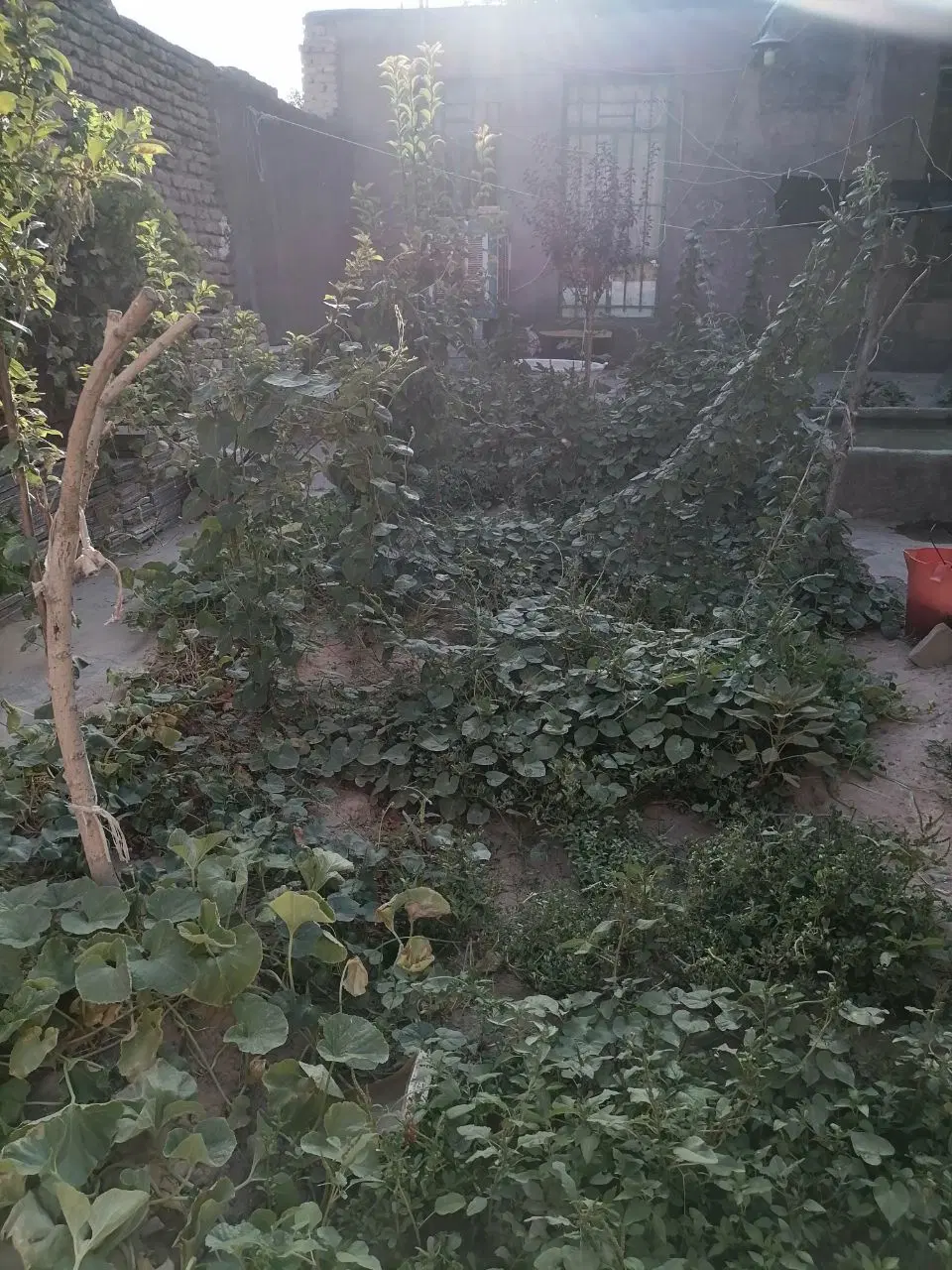 معاوضه منزل