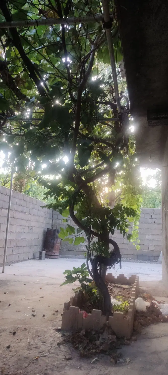 خانه مستقل نوساز کلید اول دو طبقه باهم  اکبرآباد