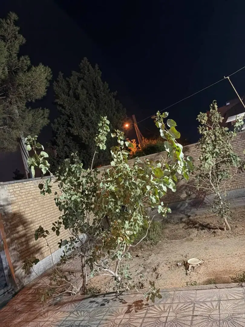 فروش ویلایی ۲۰۰متره فلسطین