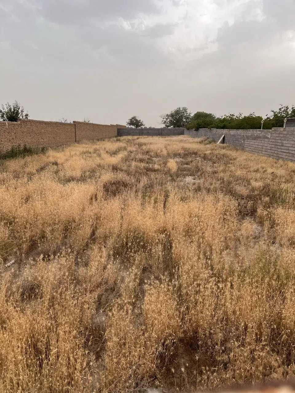 زمین محصور آماده برای تحول