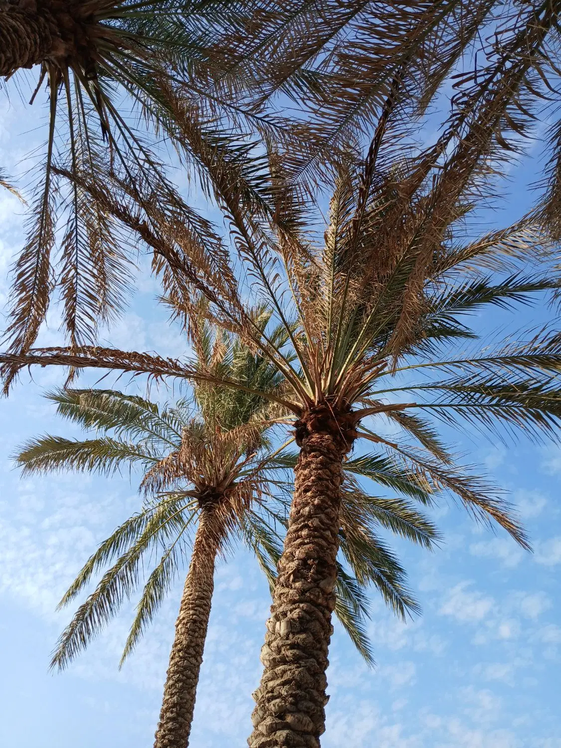 فروش خونه ویلایی