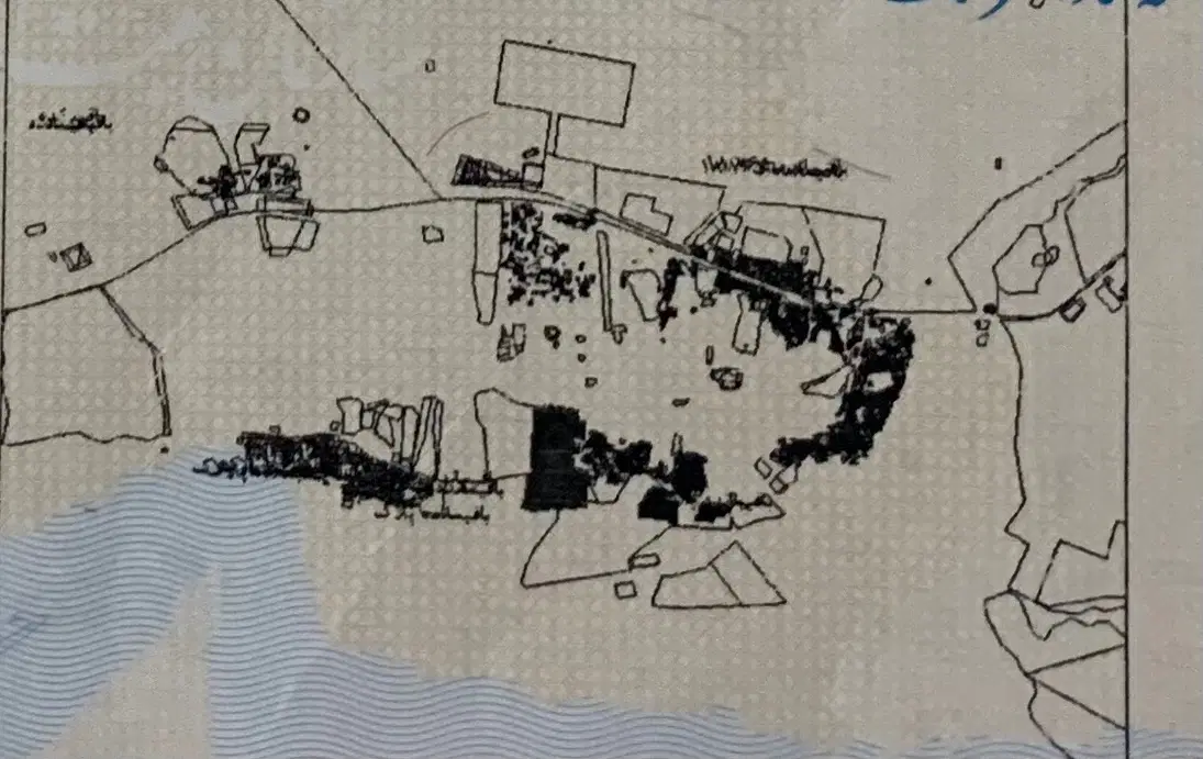 زمین پاتل ایسین