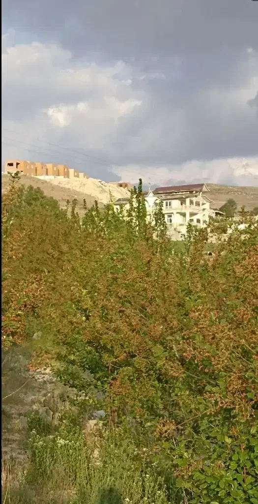 باغ در دهکده الماس
