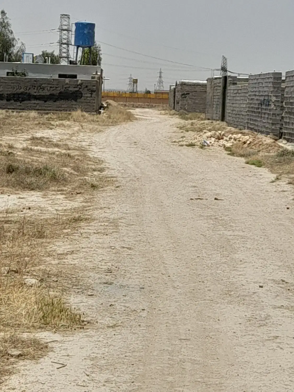 زمین باغ و باغچه