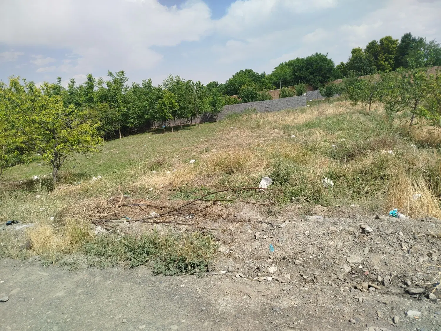 زمین 300 متری مناسب سرمایه گذاری