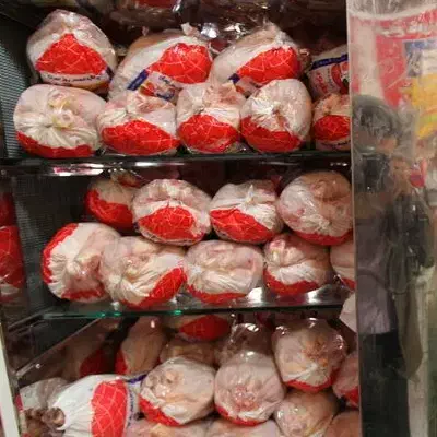 واگذاری مرغ فروشی