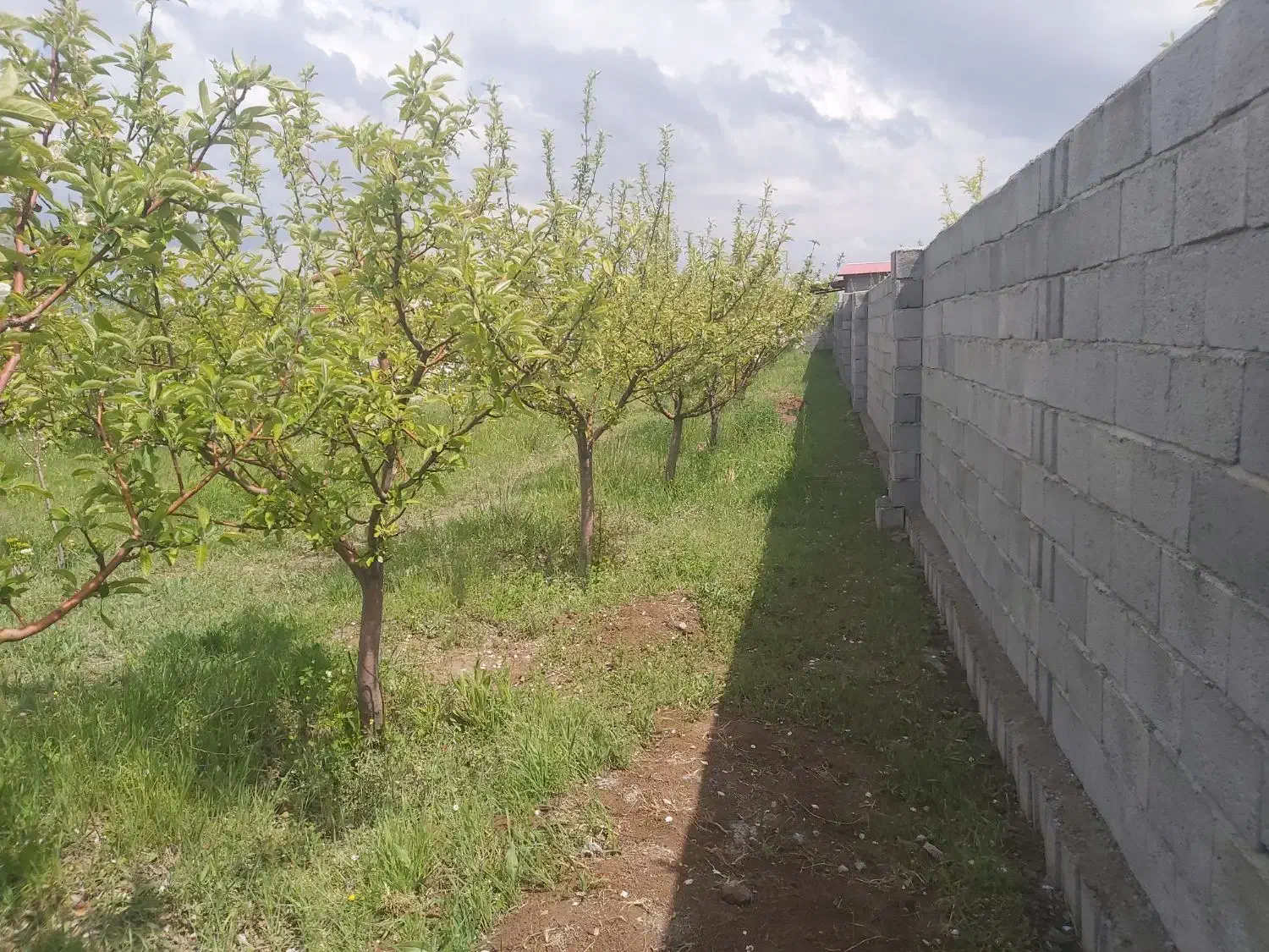 باغچه اسپیران ۳۵۰ متر دونبش