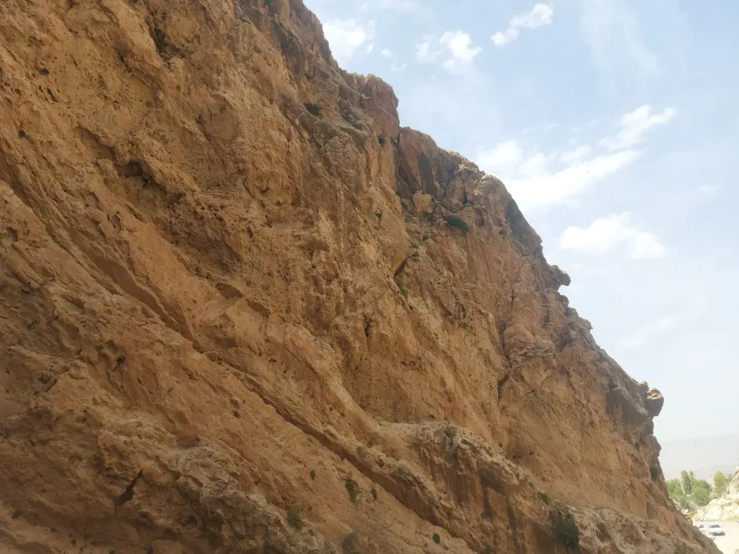 زمین گرگاو