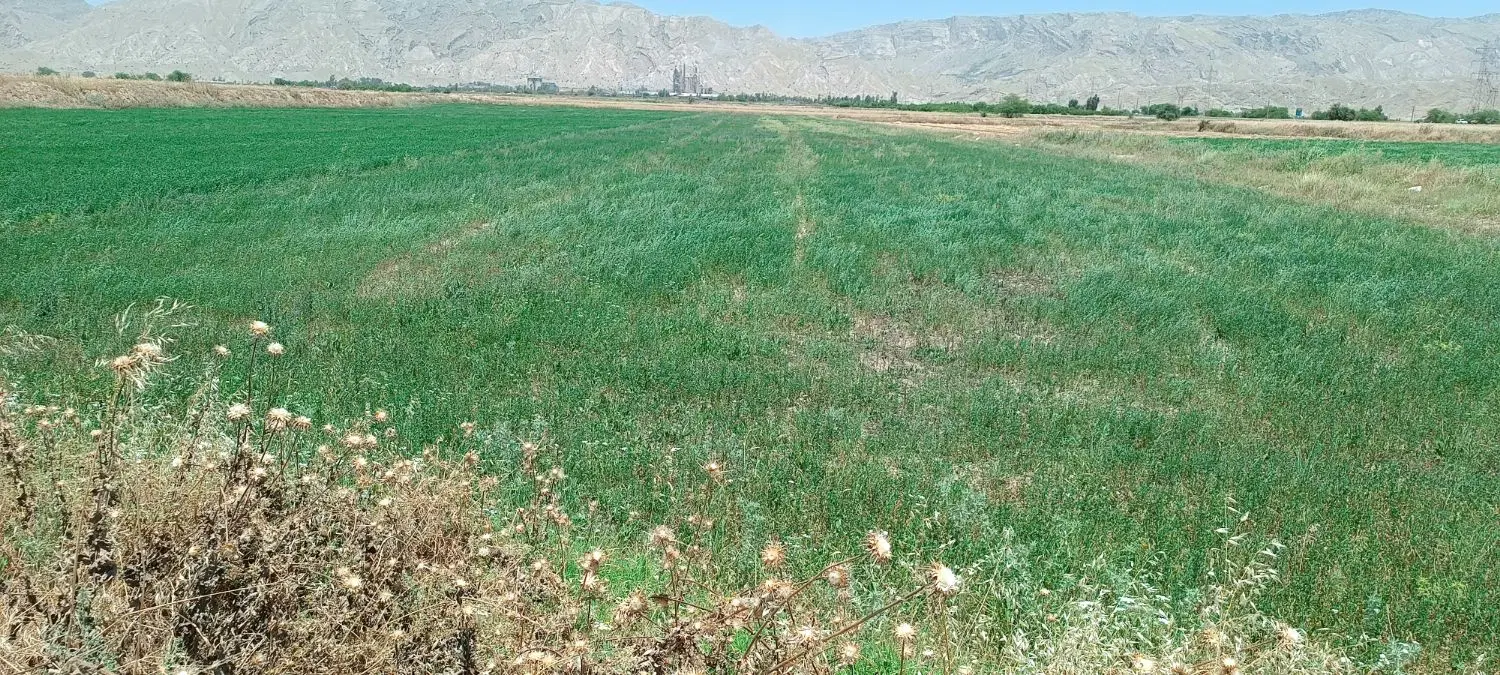 زمین کشاورزی جاده کارخانه سیمان