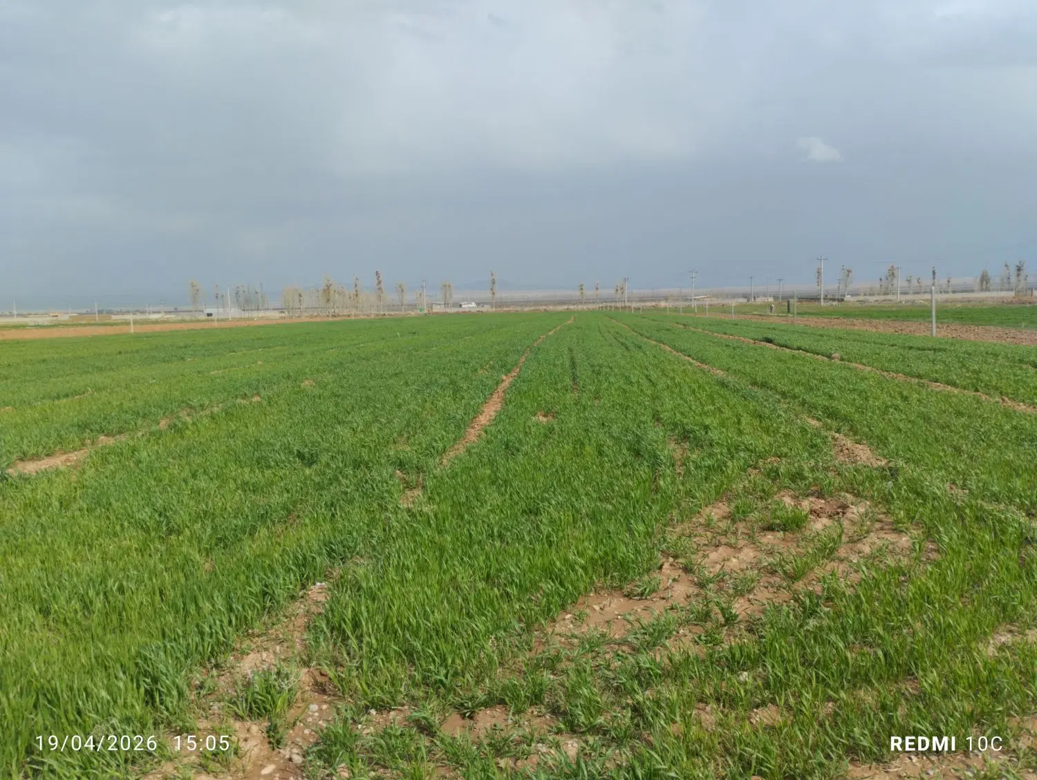 فروش زمین گلخانه ای 5500متر