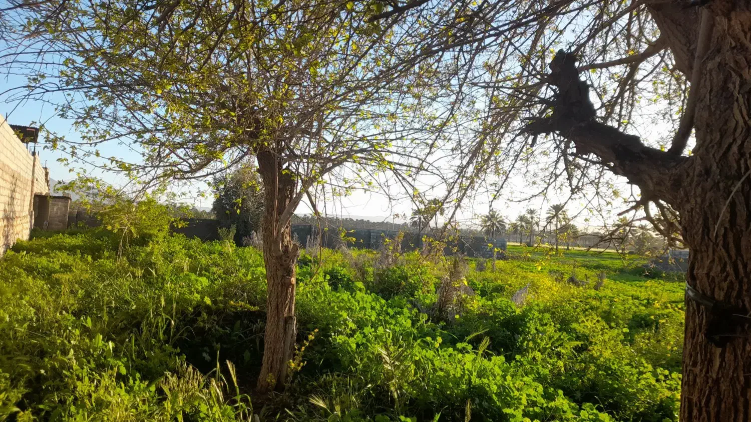 فروش