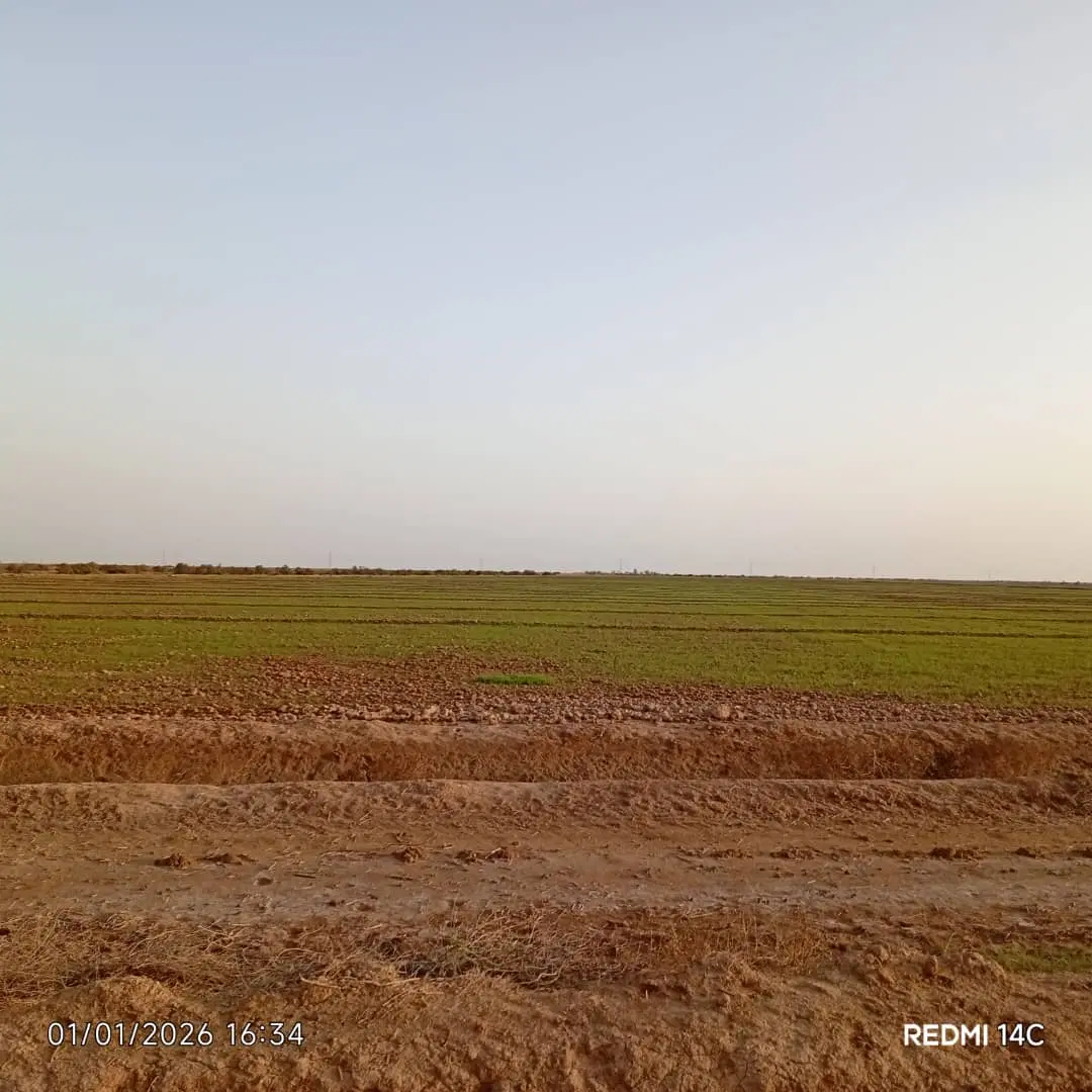 زمین کشاورزی