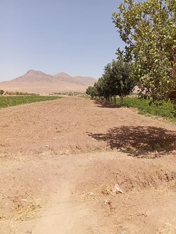 زمین قاسم آباد