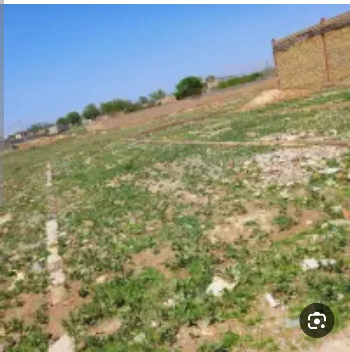 زمین باغ ویلا