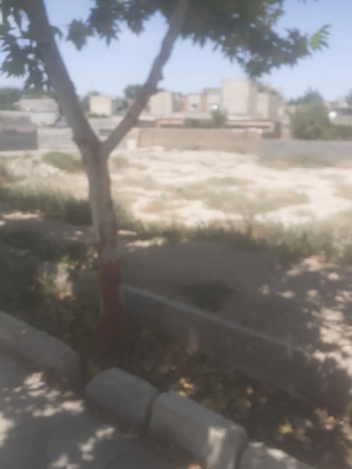 ملک زمین ۱۲۵متری