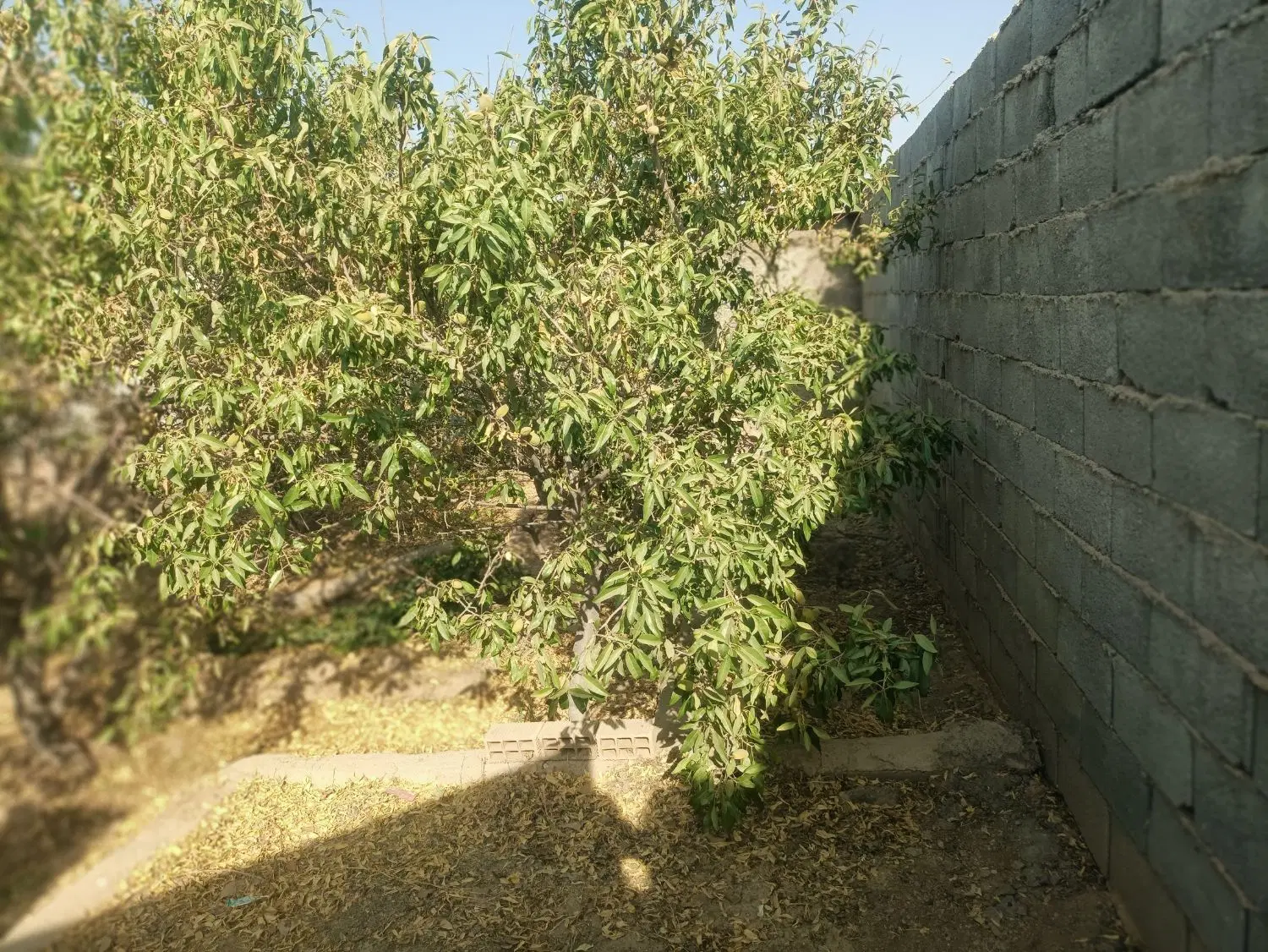 باغ ویلا 400متری قلعه سفید