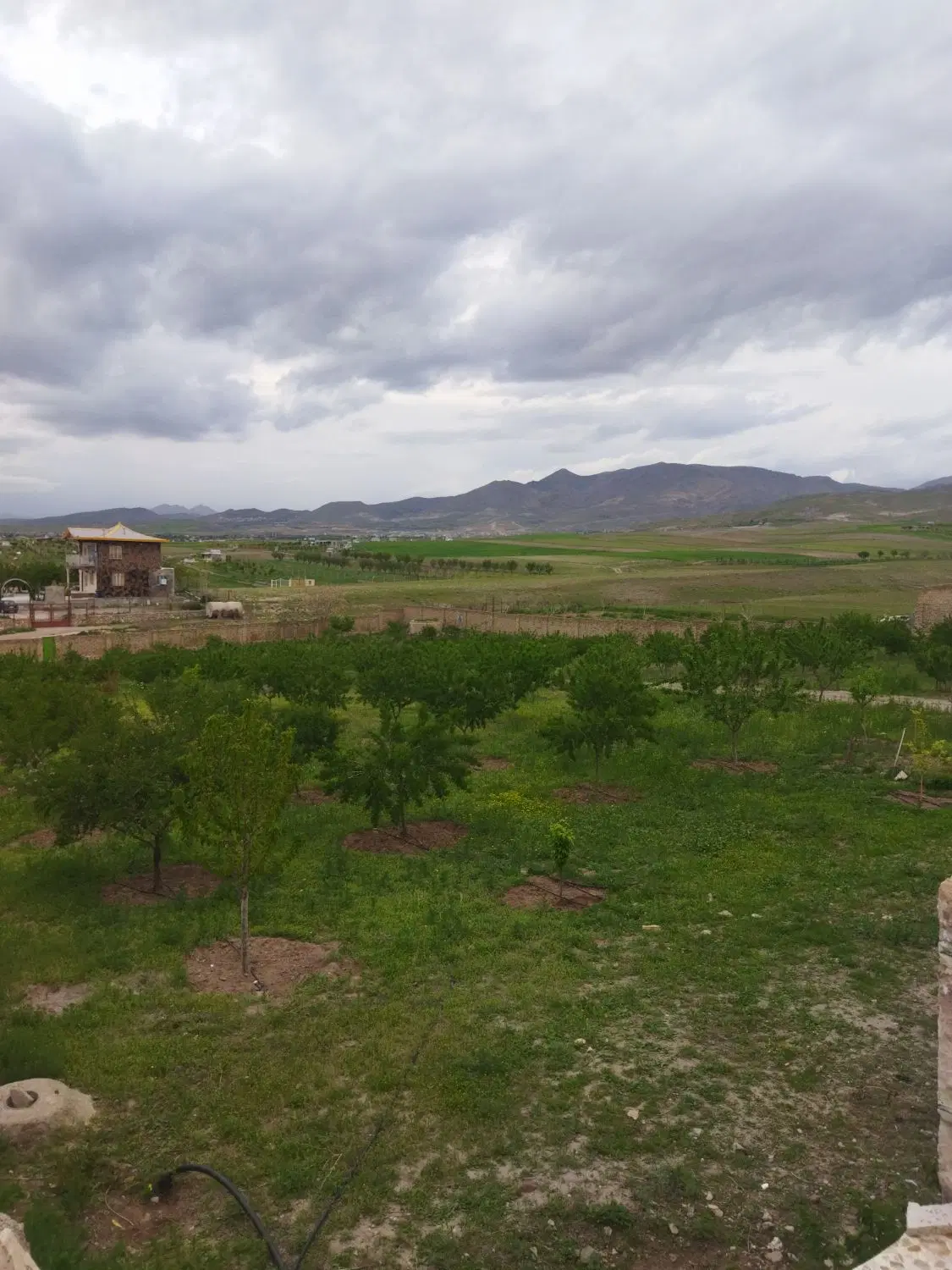 باغ ،ویلا،چهاردیواری،تالارعروسی،کورانه