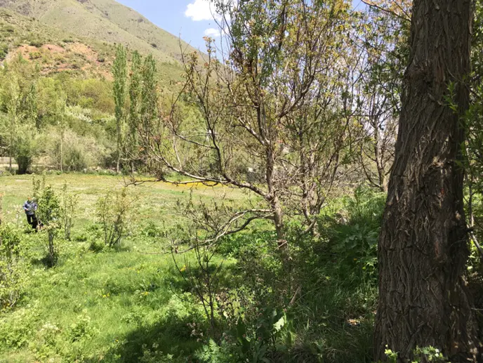 زمین به متراژ حدودا۳۵۰