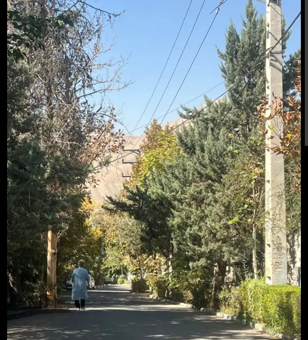 ۸۰۰ متر زمین