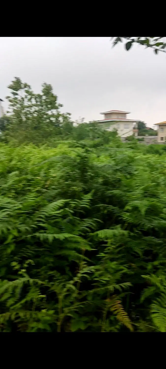 زمین مسکونی فرصت طلایی در سوستان