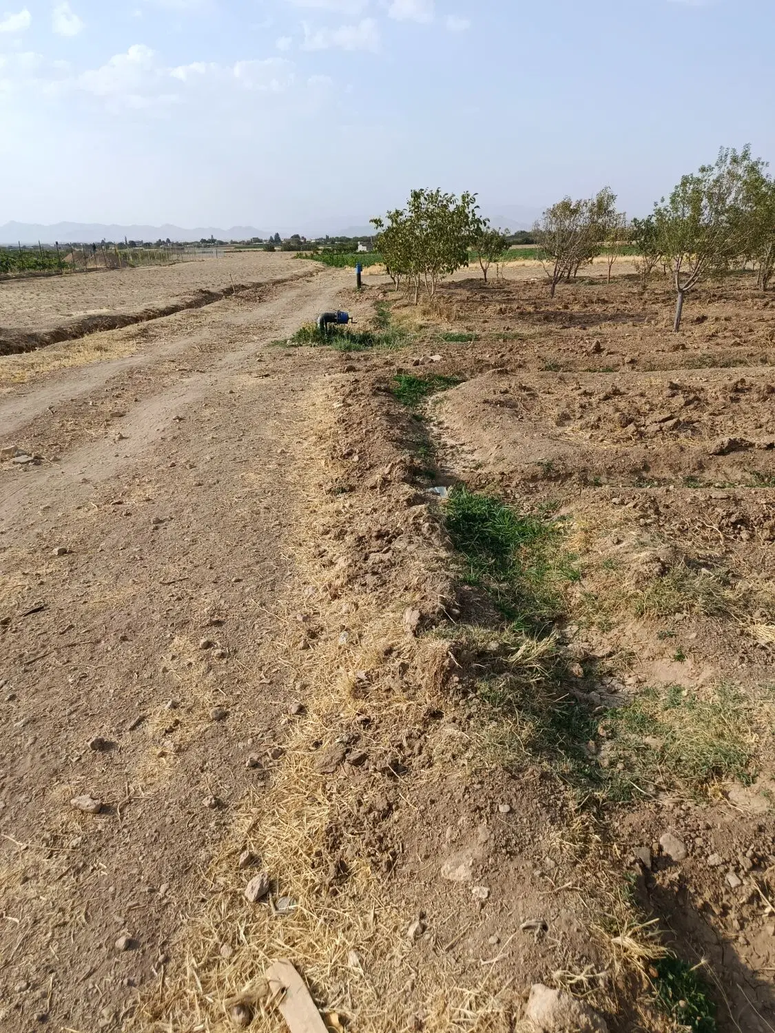 زمین چسب طرح هادی روستای رشید آباد