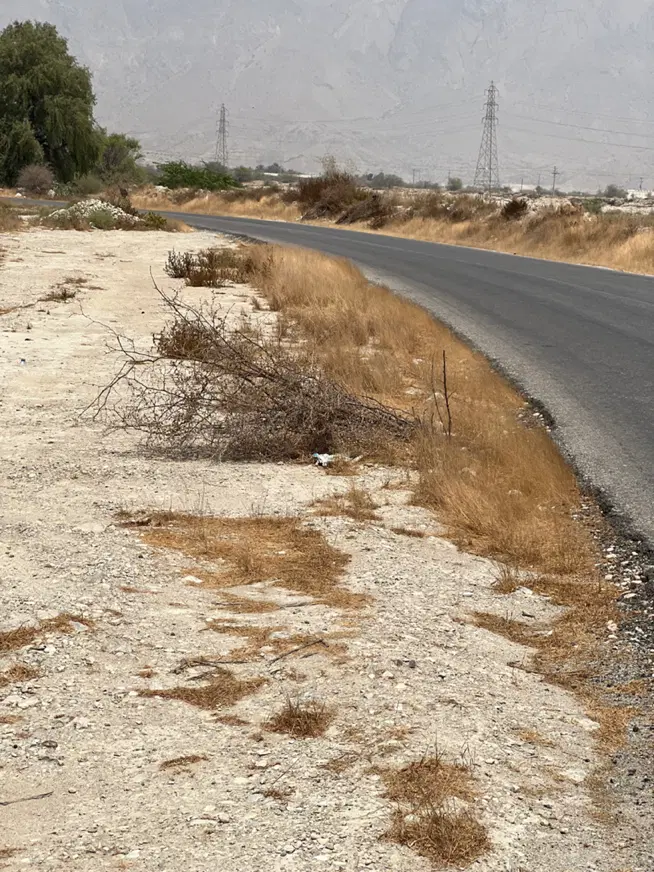 زمین ۱۵۰۰ متری تازیان بنوبند