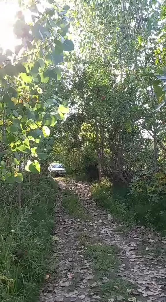 فروش زمین باغی شیرجو پشت