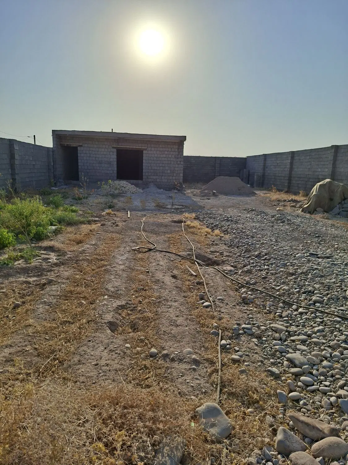 باغچه نیمه سازپشت قارچ باران