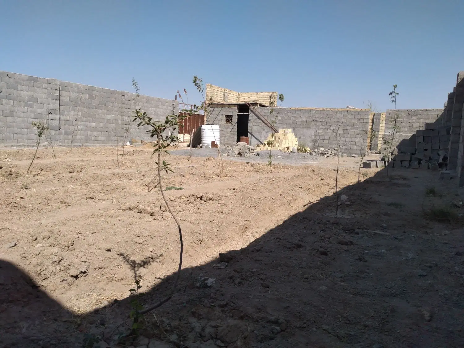باغ نقلی