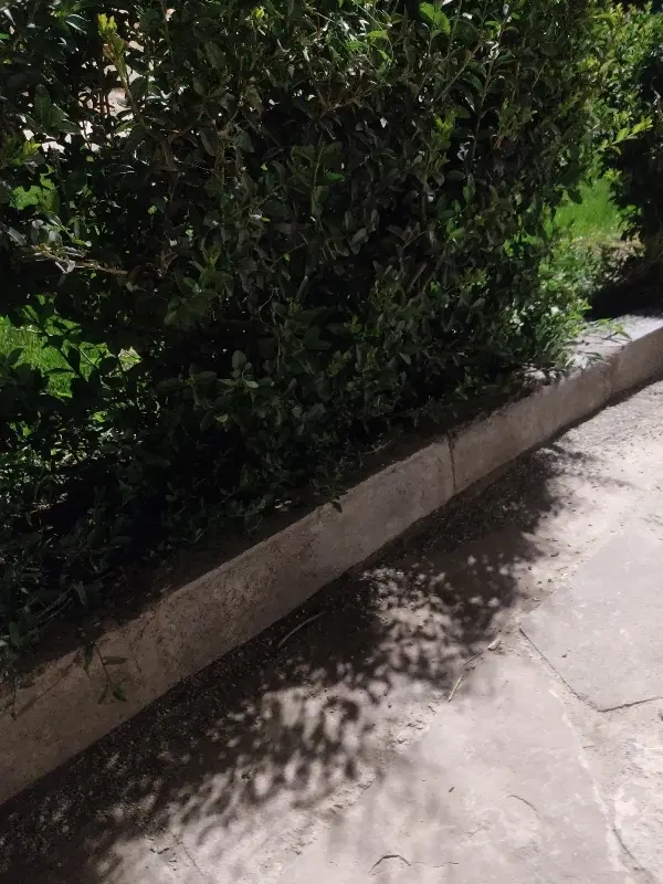 اجاره پارکینگ مسقف