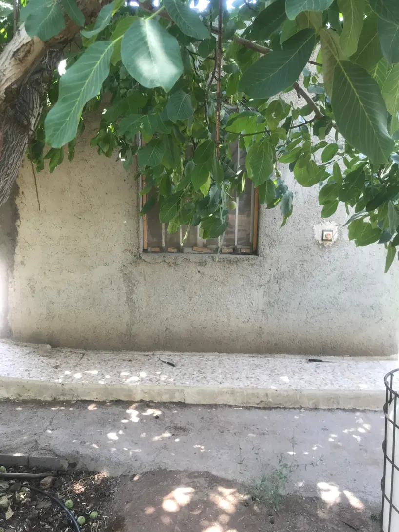 باغ ویلا