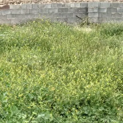 زمین مسکونی دژ سلیمان