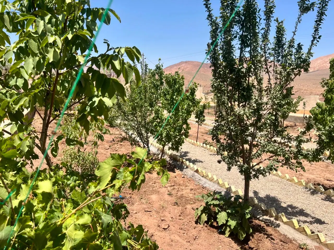 باغ ویلا بسیار خوش آب وهوا