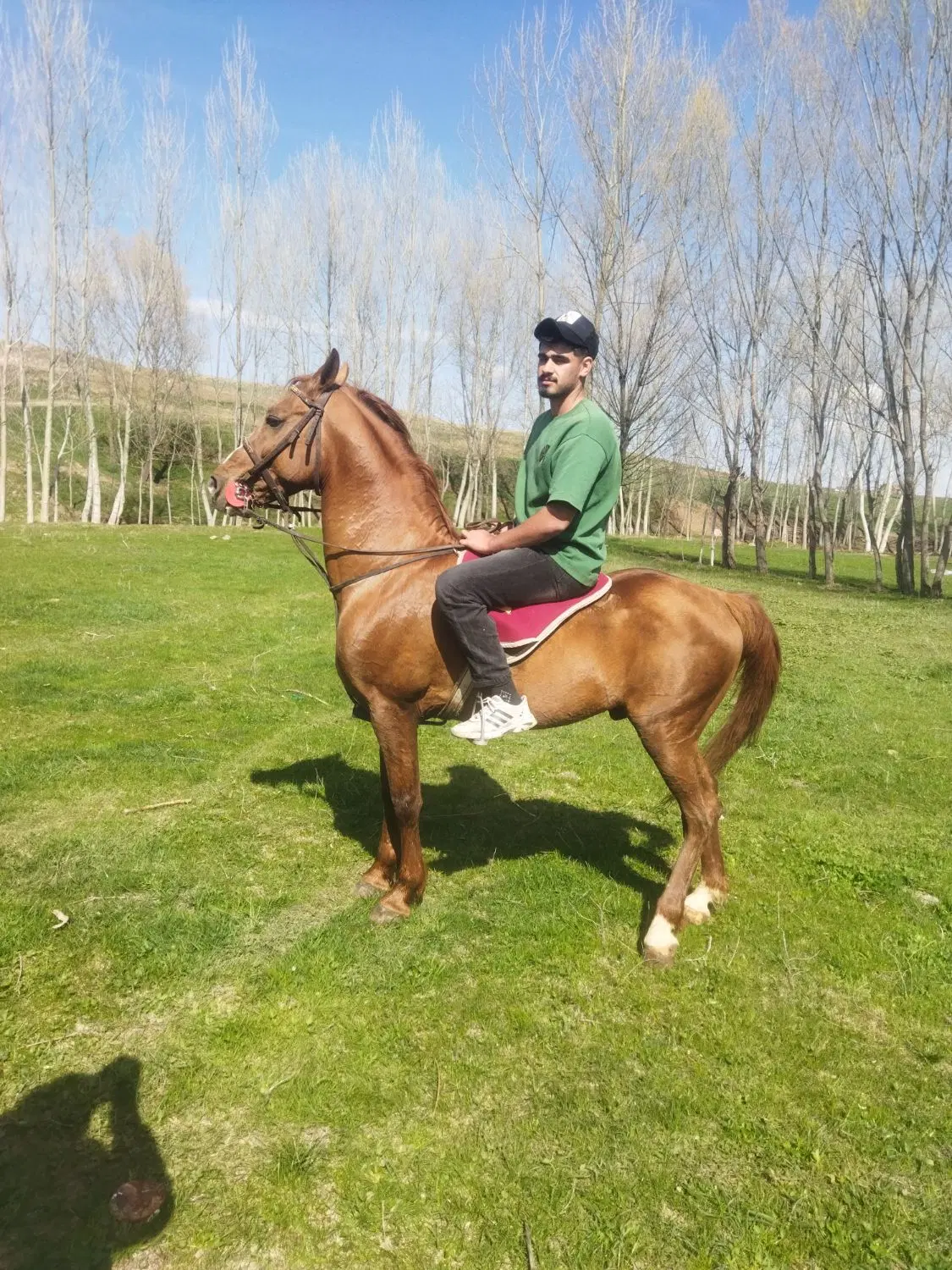 باغ