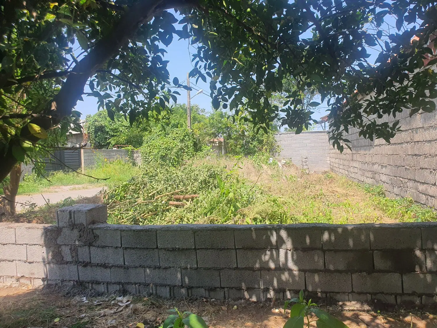 فروش زمین مسکونی