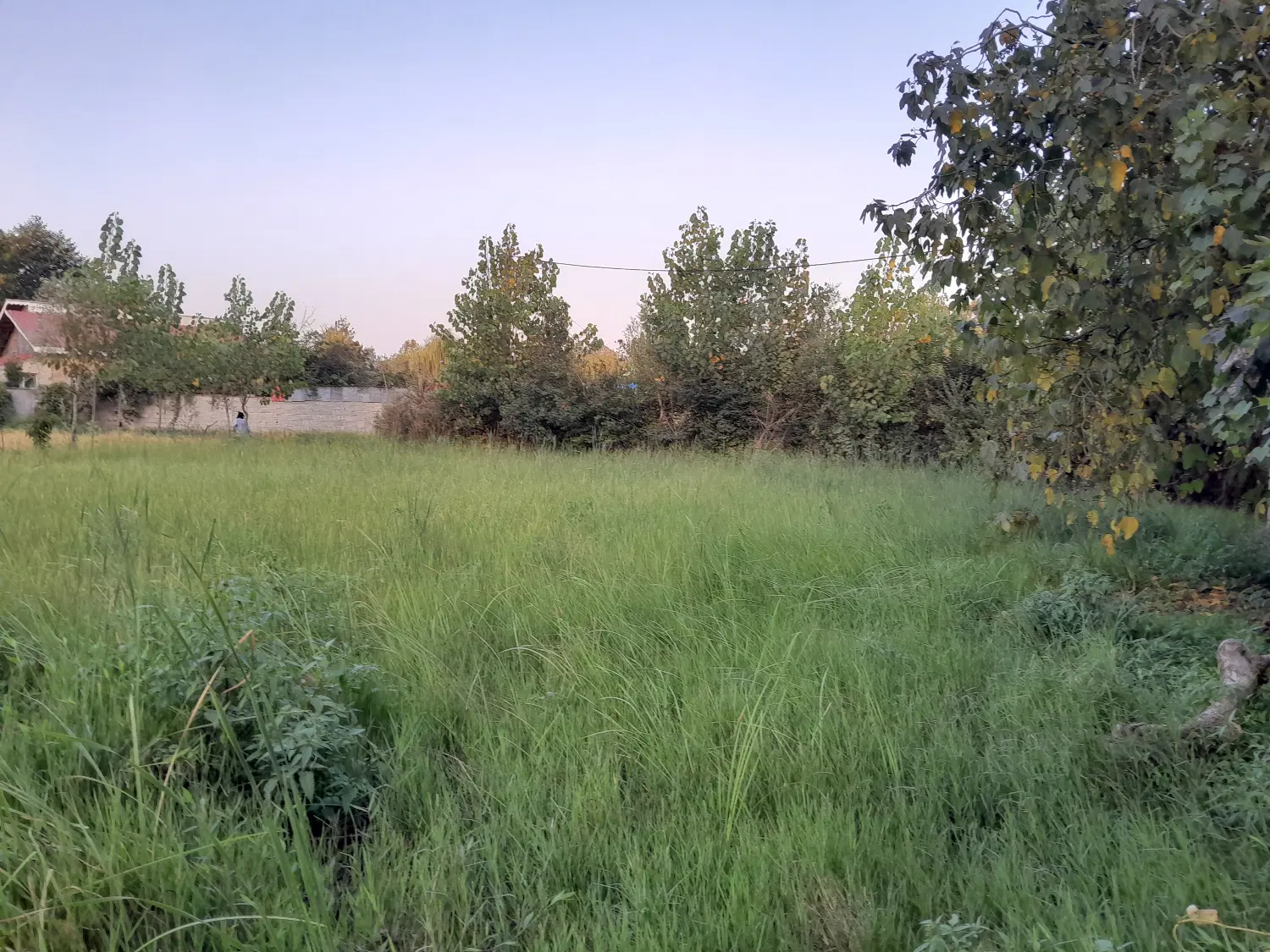 فروش زمین مسکونی