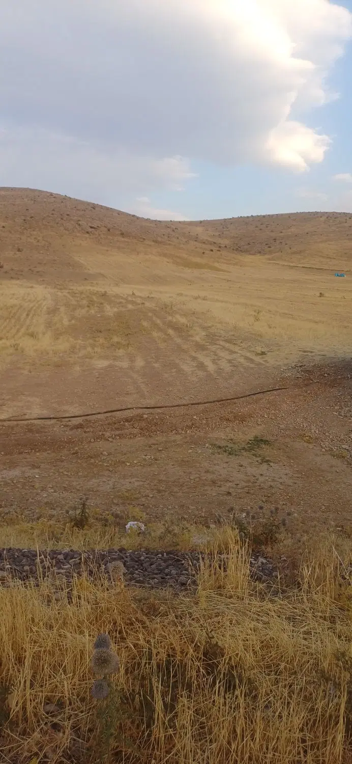 زمین کشاورزی دیم خاناباد