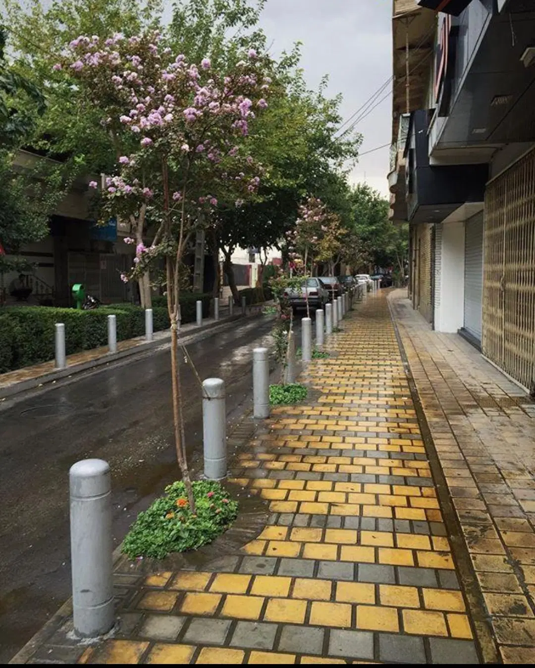 ۱۹۰ متر _۳ خواب مستر _جکوزی _هوشمند_ محدوده خاقانی