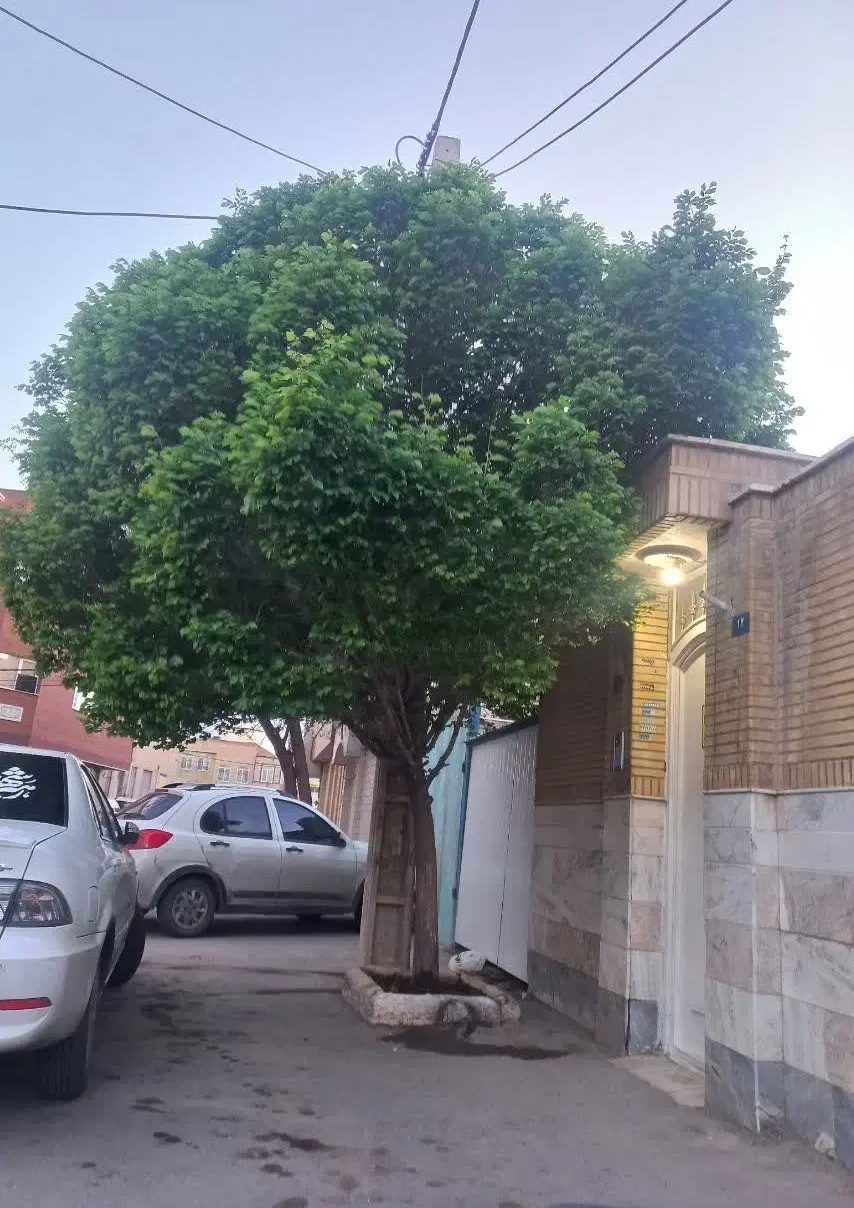 خانه ویلایی شمالی دوطبقه ۱۶۲ متر ۵۵متری عماریاسر