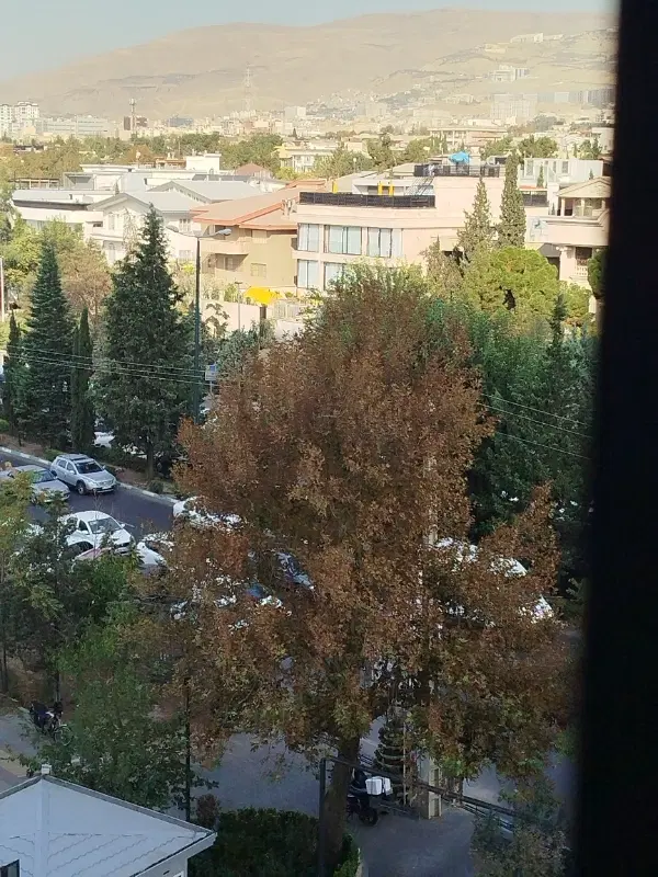 تاسیس داروخانه