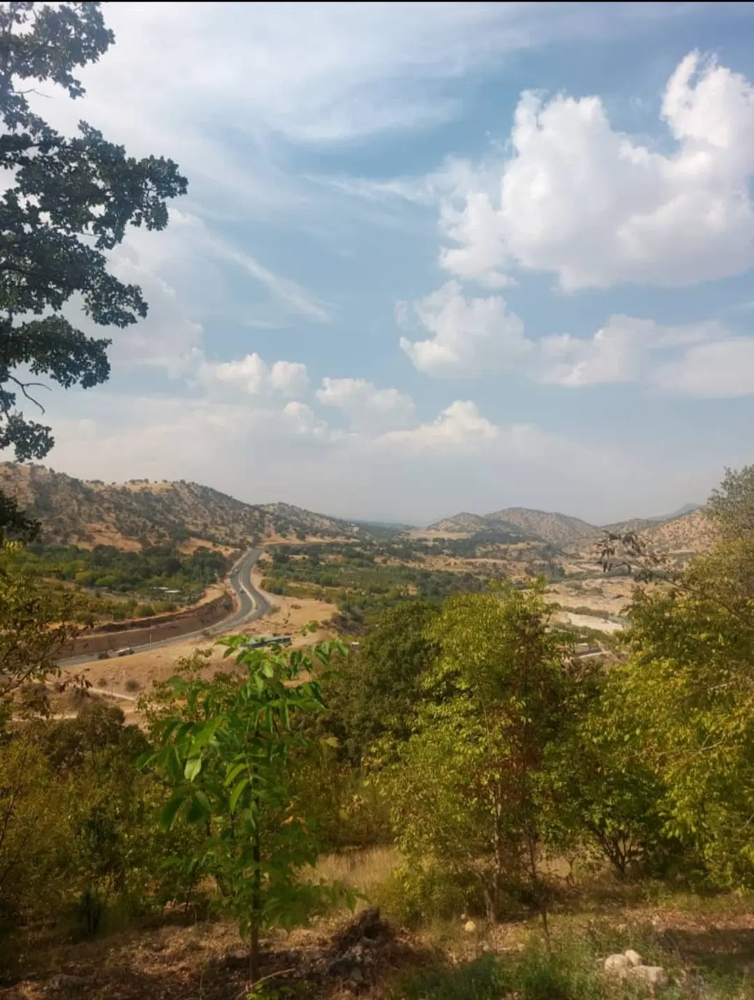 باغ گردو
