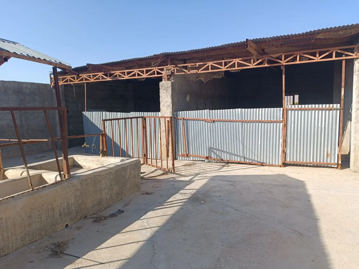 دامداری