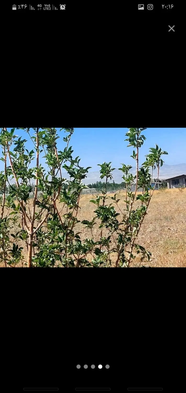 باغشهر سهرین