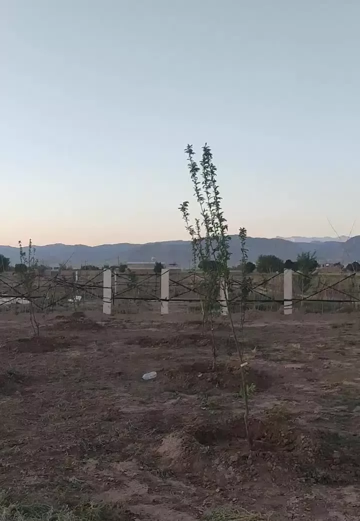 زمین باغی