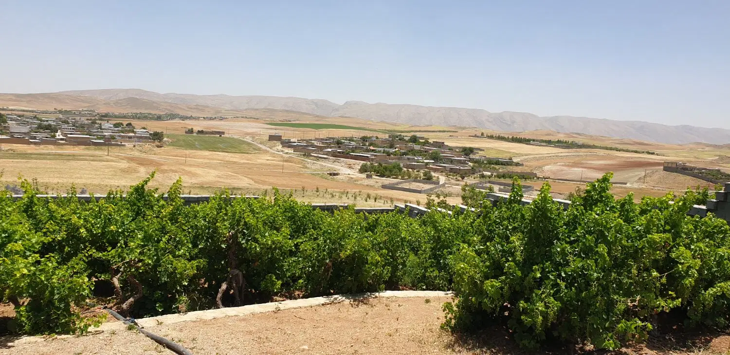 زمین ۲۴۰ متری جهانبین